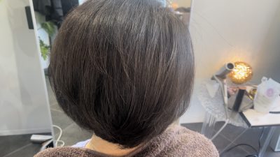 カラーファンタジー　レプロナイザー　ヘアビューロン　還元美養りずむ南青山　りずむヘアデザイン　キレイになれるヘアカラー　ダメージレス　オイルコーティング剤重症セット