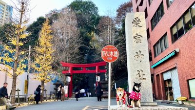 東京都港区　愛宕神社　出世の石段　還元美養りずむ南青山　柴犬を見ながら髪質肌質改善チャンネル　東京都港区愛宕1-5-3 　