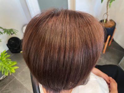 カラーファンタジー107 レプロナイザー107　ヘアビューロン107　理水907　 還元美養りずむ南青山　南青山美容室　完全予約制　外苑前　南青山