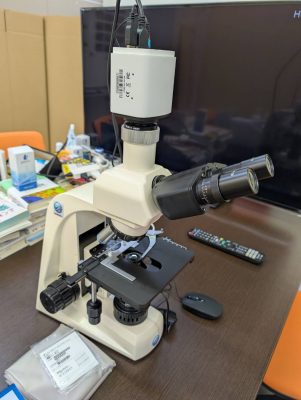 顕微鏡 再生医療 アンチエイジング 国際抗老化推進機構 血液画像観測顕微鏡 りずむヘアデザイン 還元美養りずむ南青山