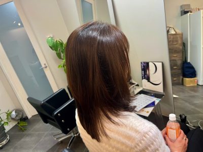 カラーファンタジー107 レプロナイザー107 ヘアビューロン107 理水907 還元美養りずむ南青山 南青山美容室 完全予約制 外苑前 南青山