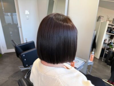 カラーファンタジー107 レプロナイザー107 ヘアビューロン107 理水907 還元美養りずむ南青山 南青山美容室 完全予約制 外苑前 南青山