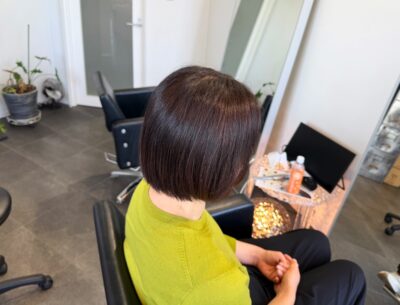 カラーファンタジー107 レプロナイザー107　ヘアビューロン107　理水907　 還元美養りずむ南青山　南青山美容室　完全予約制　外苑前　南青山　プリモエイチプラス　水素イオン　波動スピーカー　