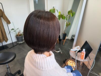 カラーファンタジー107 レプロナイザー107　ヘアビューロン107　理水907　 還元美養りずむ南青山　波動スピーカー南青山美容室　完全予約制　外苑前　南青山