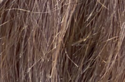 枝毛 ダメージ毛 縮毛矯正ダメージ ブリーチダメージ 改善 還元美養 カラーファンタジー107Dplus バイオプログラミング