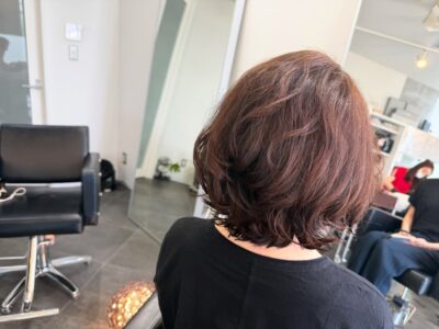 カラーファンタジー107 レプロナイザー107 ヘアビューロン107 理水907 還元美養りずむ南青山 波動スピーカー南青山美容室 完全予約制 外苑前 南青山