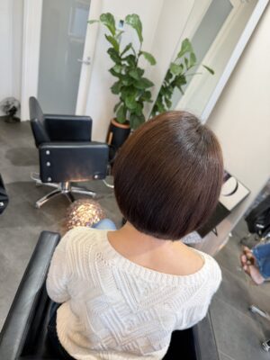 カラーファンタジー107 レプロナイザー107　ヘアビューロン107　理水907　 還元美養りずむ南青山　南青山美容室　完全予約制　外苑前　南青山　バイオプログラミングヘッドスパ　