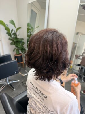 カラーファンタジー107 レプロナイザー107　ヘアビューロン107　理水907　 還元美養りずむ南青山　波動スピーカー南青山美容室　完全予約制　外苑前　南青山