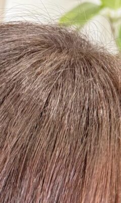 アホ毛 エイジング毛 カラーファンタジー107Dplus レプロナイザー107Dplus ヘアビューロン107DSplus 理水907Dplus 還元美養りずむ南青山 南青山美容室 完全予約制 外苑前 南青山 バイオプログラミングヘッドスパ アクアバランサーmc バイオプログラミング 密度のせ