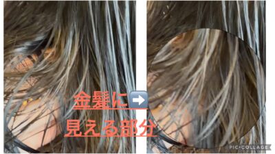 オイルやコーティング剤を使用していた髪の毛 アホ毛 しばり癖 ドライヤー レプロナイザー以外のドライヤー ヘアビューロン以外のアイロン 還元美養りずむ南青山 りずむヘアデザイン 髪と地肌のクレンジング ソフトニング ディリーフォース epシステムフォーミュラ10 vorcureデケミおきよめ