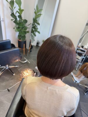 カラーファンタジー107Dplus レプロナイザー107Dplus ヘアビューロン107DSplus 理水907Dplus 還元美養りずむ南青山 南青山美容室 完全予約制 外苑前 南青山 バイオプログラミングヘッドスパ アクアバランサーmc バイオプログラミング 密度のせ